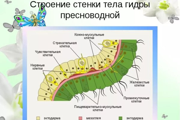 Кракен как зайти через тор браузер