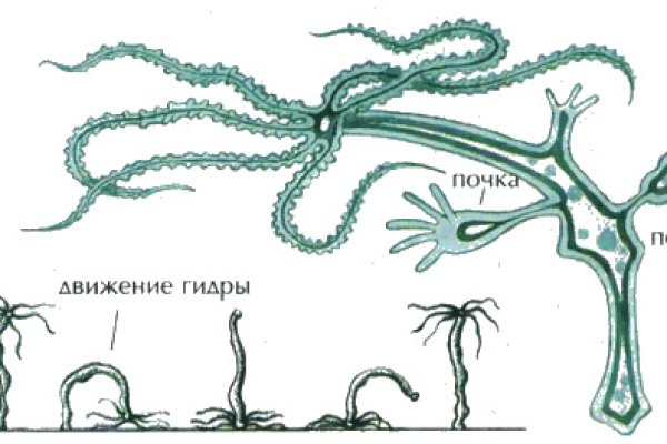 Kraken 13 at ссылка