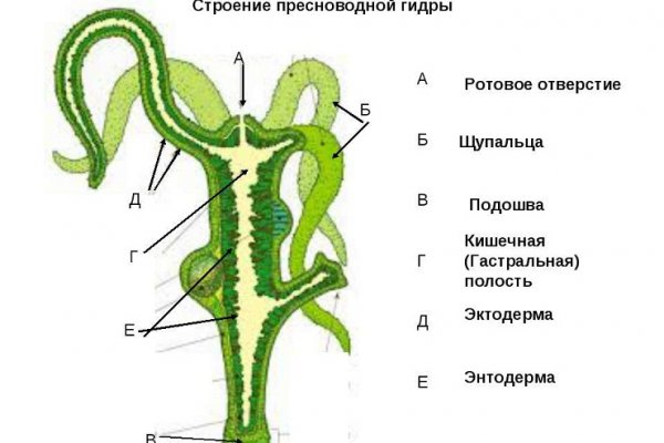 Полезные сайты тор