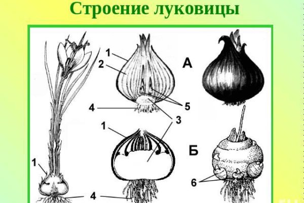 Кракен площадка vk2 top