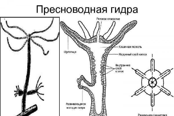 Украли аккаунт на кракене